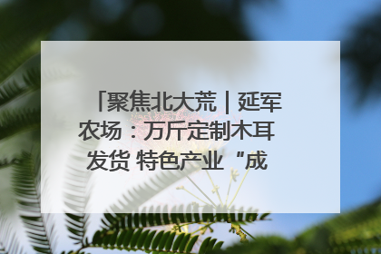 聚焦北大荒｜延军农场：万斤定制木耳发货 特色产业“成绩单”亮眼