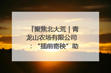 聚焦北大荒｜青龙山农场有限公司：“插前寄秧”助力农业节本增效