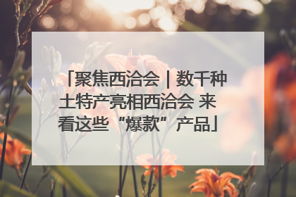 聚焦西洽会｜数千种土特产亮相西洽会 来看这些“爆款”产品