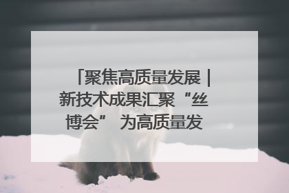 聚焦高质量发展｜新技术成果汇聚“丝博会” 为高质量发展注入新动能