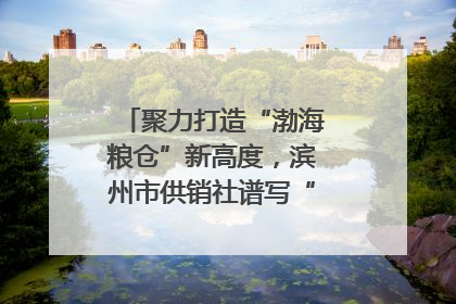 聚力打造“渤海粮仓”新高度，滨州市供销社谱写“三夏”丰收乐章