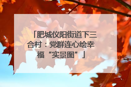 肥城仪阳街道下三合村：党群连心绘幸福“实景图”