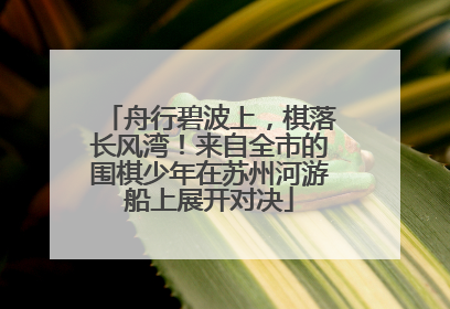 舟行碧波上，棋落长风湾！来自全市的围棋少年在苏州河游船上展开对决