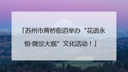 苏州市黄桥街道举办“花语永恒·微景大观”文化活动！