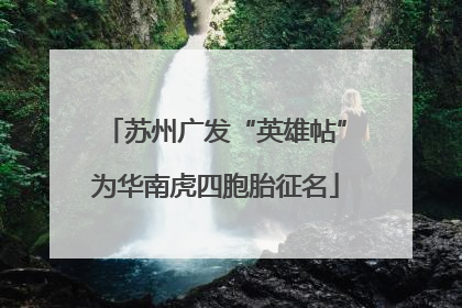 苏州广发“英雄帖”为华南虎四胞胎征名