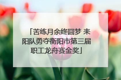 苦练月余终圆梦 耒阳队勇夺衡阳市第三届职工龙舟赛金奖