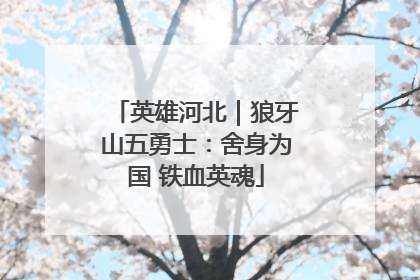英雄河北｜狼牙山五勇士：舍身为国 铁血英魂