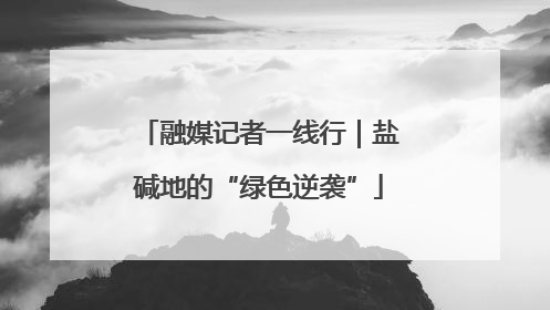 融媒记者一线行｜盐碱地的“绿色逆袭”