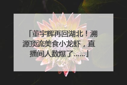 董宇辉再回湖北！溯源顶流美食小龙虾，直播间人数爆了……