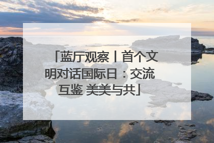 蓝厅观察丨首个文明对话国际日：交流互鉴 美美与共