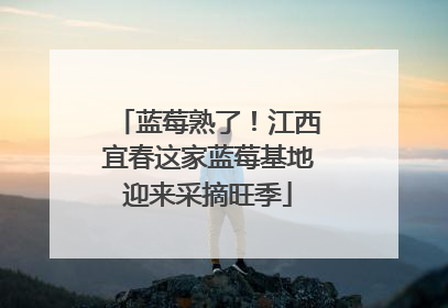 蓝莓熟了！江西宜春这家蓝莓基地迎来采摘旺季