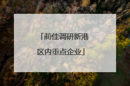 蔺佳调研新港区内重点企业