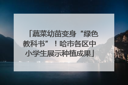 蔬菜幼苗变身“绿色教科书”！哈市各区中小学生展示种植成果