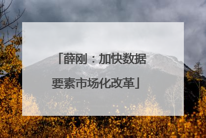 薛刚：加快数据要素市场化改革