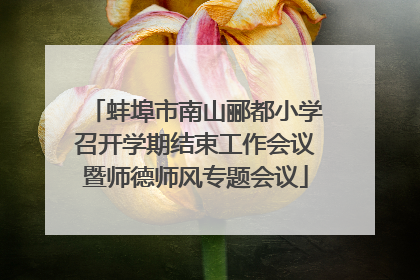 蚌埠市南山郦都小学召开学期结束工作会议暨师德师风专题会议