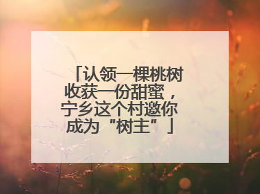 认领一棵桃树收获一份甜蜜，宁乡这个村邀你成为“树主”