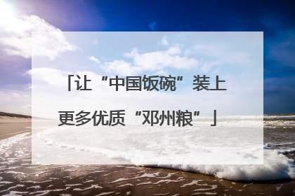 让“中国饭碗”装上更多优质“邓州粮”