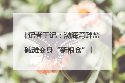 记者手记：渤海湾畔盐碱滩变身“新粮仓”