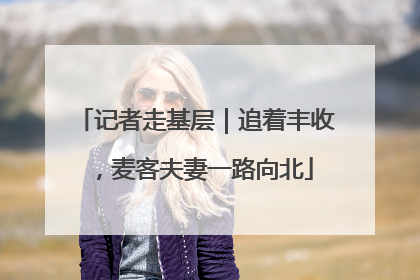 记者走基层｜追着丰收，麦客夫妻一路向北