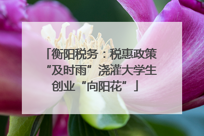衡阳税务：税惠政策“及时雨”浇灌大学生创业“向阳花”