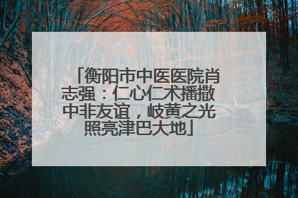 衡阳市中医医院肖志强：仁心仁术播撒中非友谊，岐黄之光照亮津巴大地
