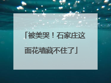 被美哭！石家庄这面花墙藏不住了