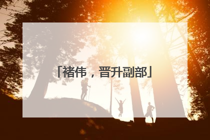 褚伟，晋升副部
