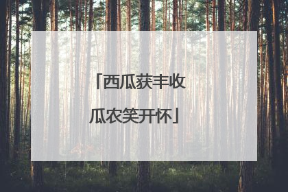 西瓜获丰收 瓜农笑开怀