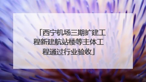 西宁机场三期扩建工程新建航站楼等主体工程通过行业验收