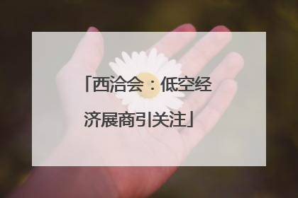 西洽会：低空经济展商引关注