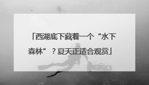 西湖底下藏着一个“水下森林”？夏天正适合观赏