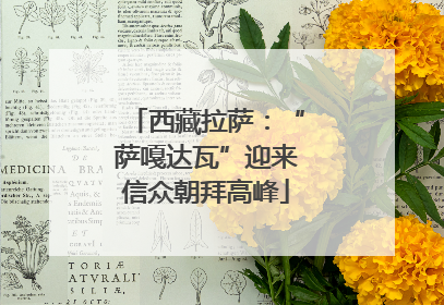 西藏拉萨：“萨嘎达瓦”迎来信众朝拜高峰