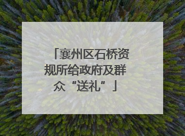 襄州区石桥资规所给政府及群众“送礼”