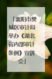襄阳市樊城区审计局举办《湖北省内部审计条例》宣讲会