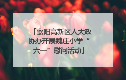 襄阳高新区人大政协办开展魏庄小学“六一”慰问活动