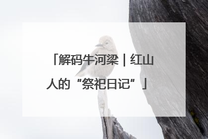 解码牛河梁｜红山人的“祭祀日记”