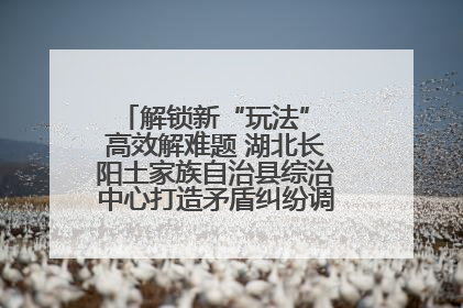 解锁新“玩法” 高效解难题 湖北长阳土家族自治县综治中心打造矛盾纠纷调处“终点站”