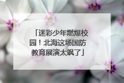 迷彩少年燃爆校园！北海这场国防教育展演太飒了