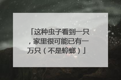 这种虫子看到一只，家里很可能已有一万只（不是蟑螂）
