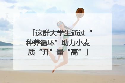 这群大学生通过“种养循环”助力小麦质“升”量“高”