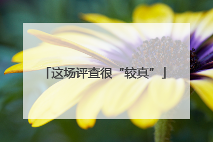 这场评查很“较真”