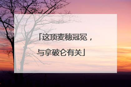 这顶麦穗冠冕，与拿破仑有关