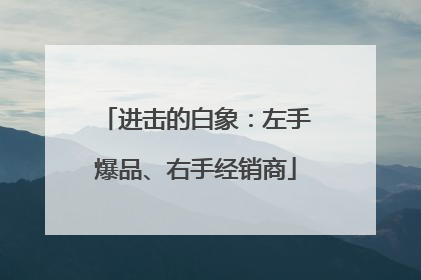 进击的白象：左手爆品、右手经销商