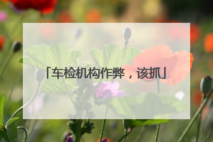 车检机构作弊，该抓