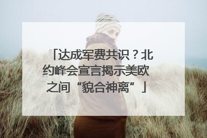 达成军费共识？北约峰会宣言揭示美欧之间“貌合神离”