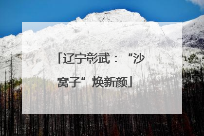 辽宁彰武：“沙窝子”焕新颜