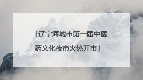 辽宁海城市第一届中医药文化夜市火热开市