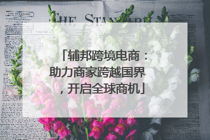 辅邦跨境电商：助力商家跨越国界，开启全球商机