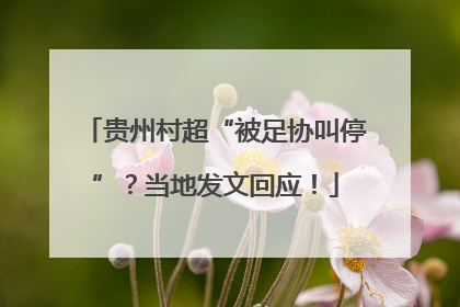 贵州村超“被足协叫停”？当地发文回应！