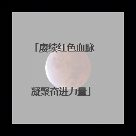 赓续红色血脉 凝聚奋进力量